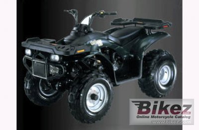 2010 E-Ton Challenger 150 CXL-150 photo